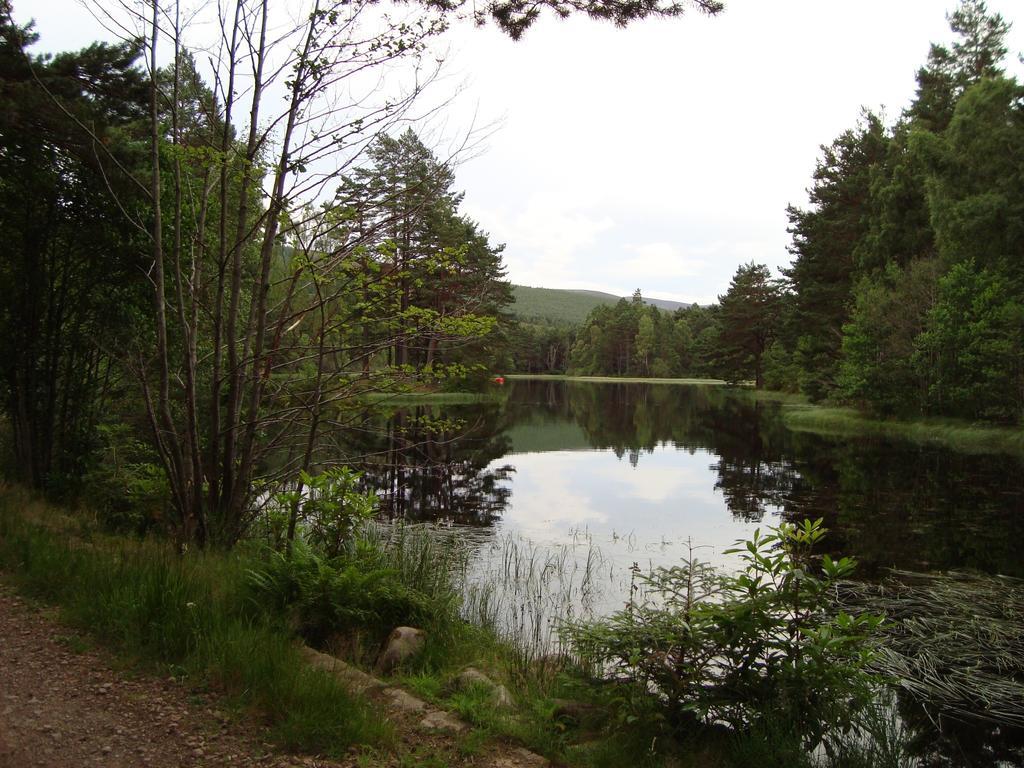 Willowbank 3*